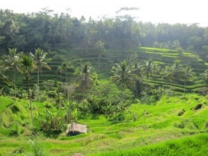 Luxury honeymoon in Bali, Indonesia - Breathtaking views