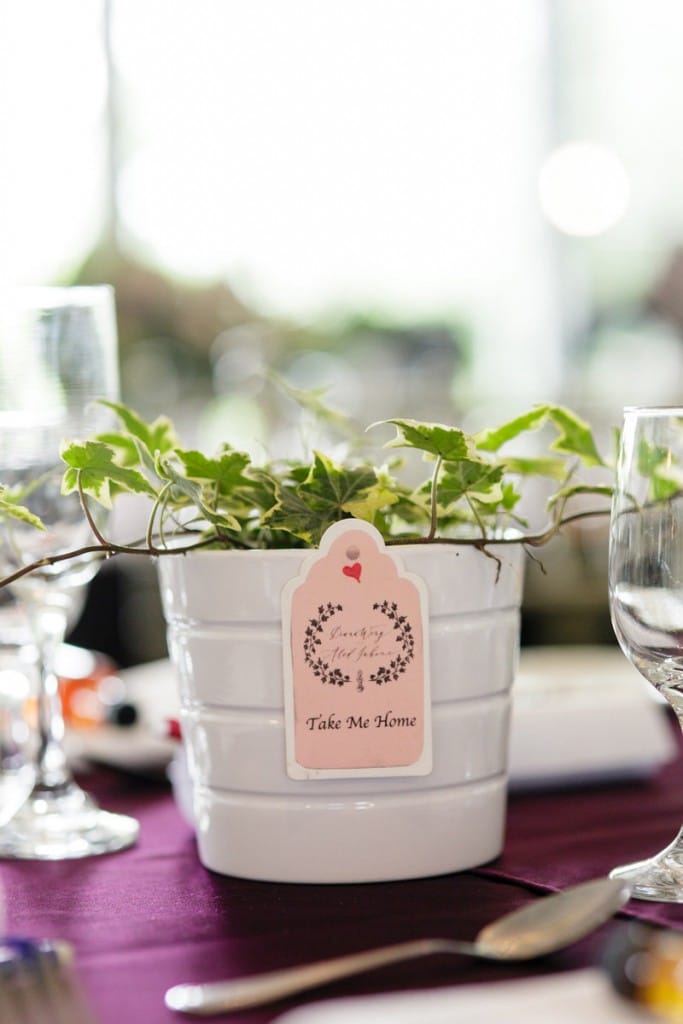 Ivy plants for guests to take home - Organic and Artistic wedding at Doctor's House