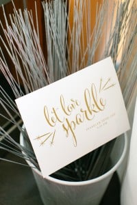 Ombre and Blush Wedding at Malaparte