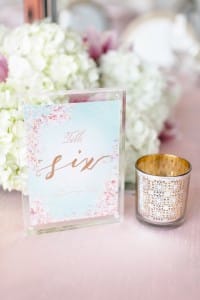 Ombre and Blush Wedding at Malaparte