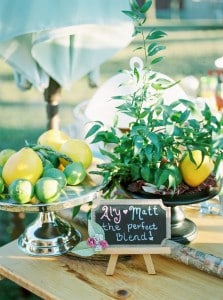 Rustic Outdoors Tented Wedding