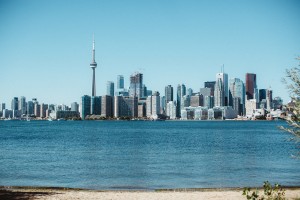 Rustic gay wedding at Toronto's Ward's Island