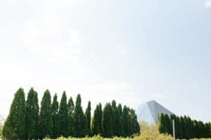 Pink and Coral Wedding at Aga Khan Museum