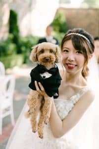 Beautiful outdoor wedding at Graydon Hall Manor