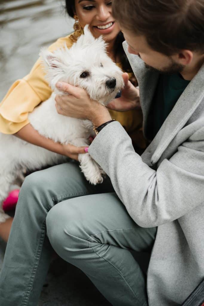 Romantic engagement shoot in a canoe with a dog