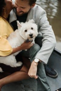 Romantic engagement shoot in a canoe with a dog