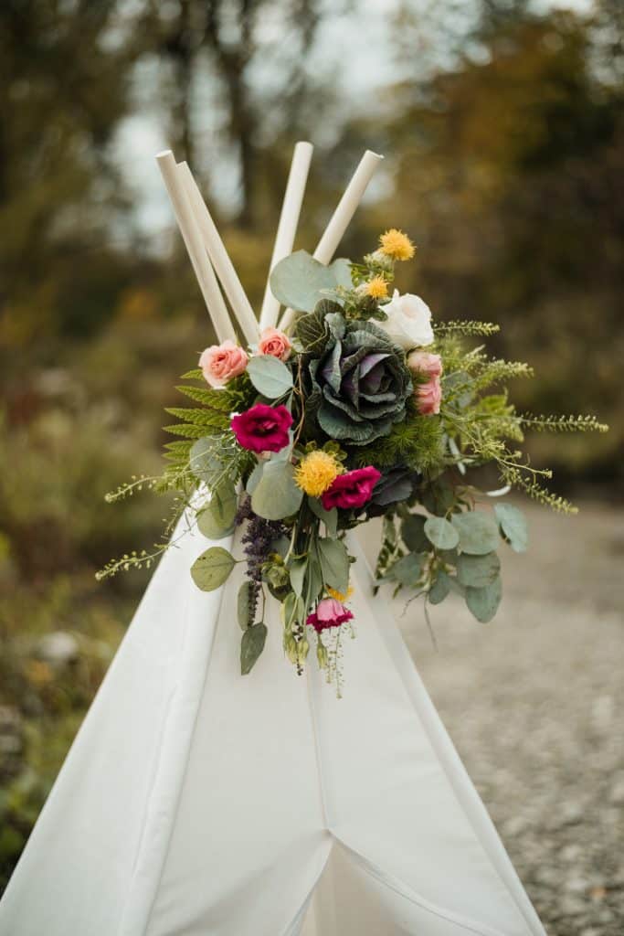 Romantic engagement shoot in a canoe with a dog