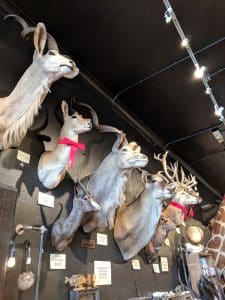 San Francisco urban getaway ideas - Explore the Mission district