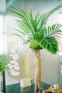 Tropical foliage and plants
