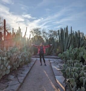 Phoenix Arizona Honeymoon and Travel Guide - Desert Botanical Gardens